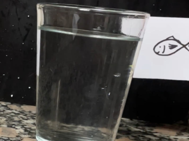 también puedes dibujar un pez