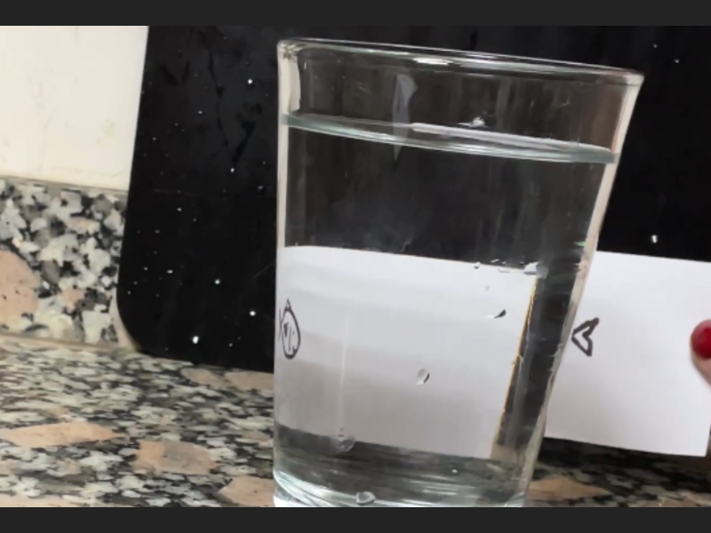 el pez cambia del sentido