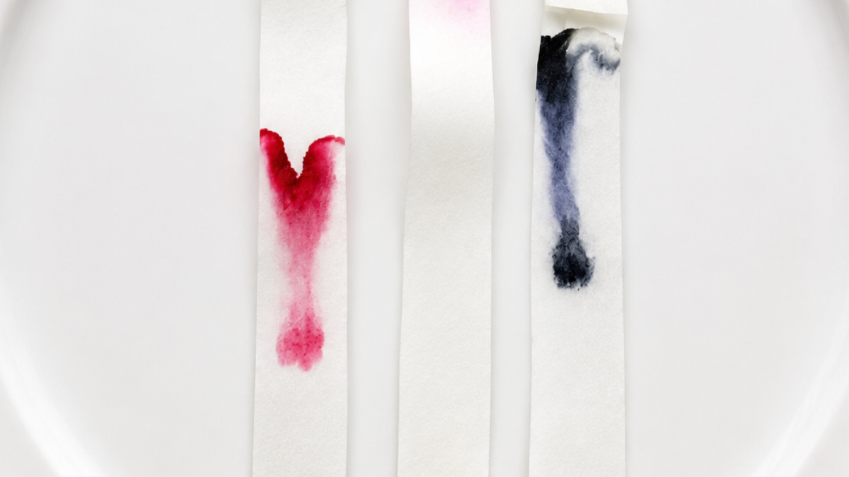 paper chromatography cromatografia en papel