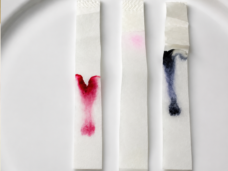 paper chromatography cromatografia en papel